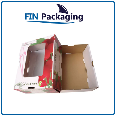 Corrugated Packaging